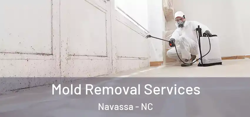  Mold Removal Services Navassa - NC