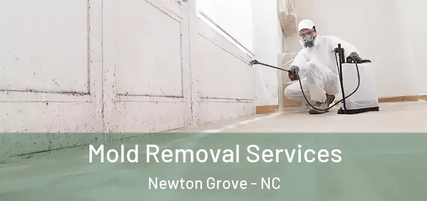  Mold Removal Services Newton Grove - NC