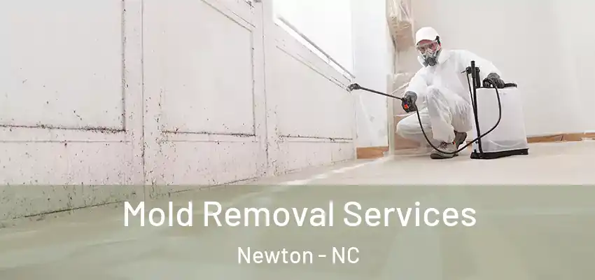  Mold Removal Services Newton - NC