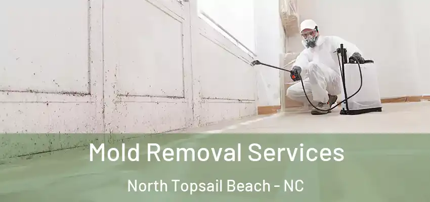  Mold Removal Services North Topsail Beach - NC