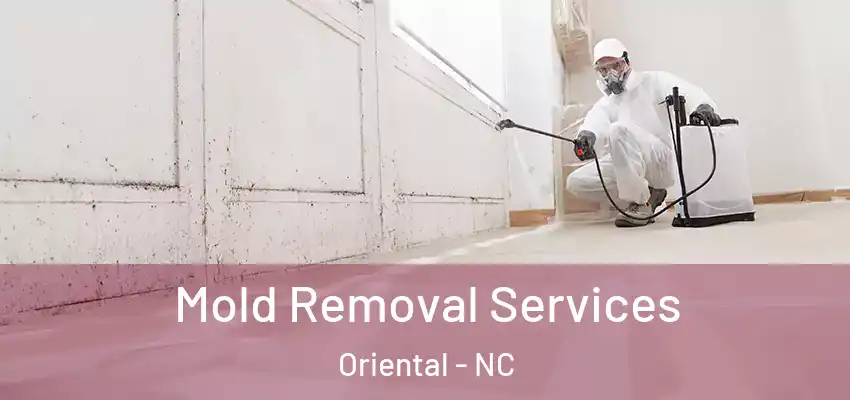  Mold Removal Services Oriental - NC