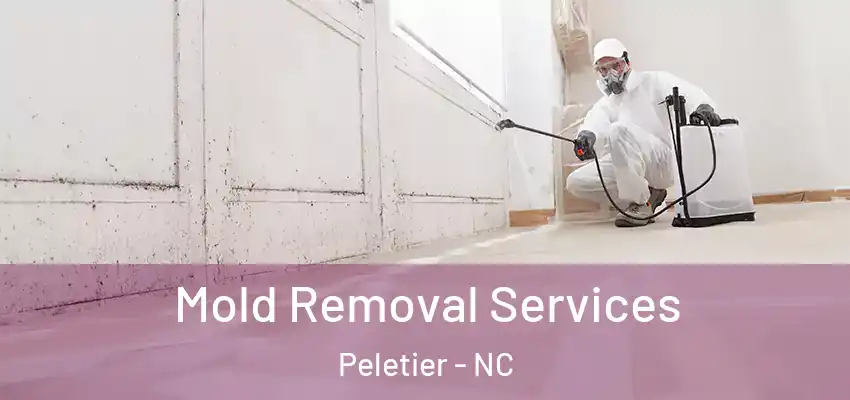  Mold Removal Services Peletier - NC
