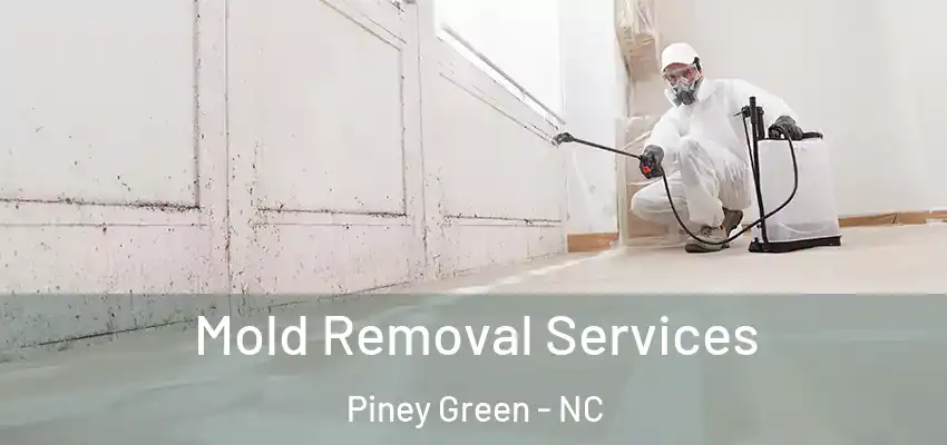  Mold Removal Services Piney Green - NC