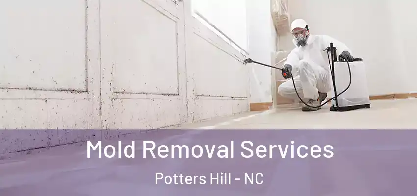  Mold Removal Services Potters Hill - NC