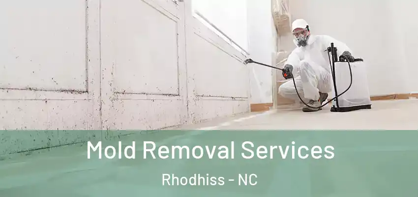 Mold Removal Services Rhodhiss - NC