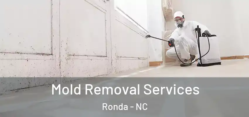  Mold Removal Services Ronda - NC