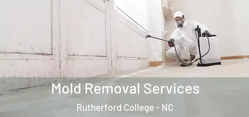 Mold Removal Services Rutherford College - NC