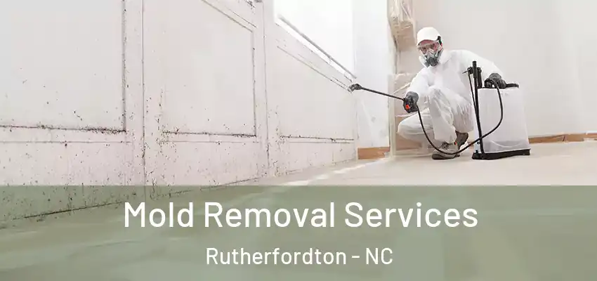  Mold Removal Services Rutherfordton - NC