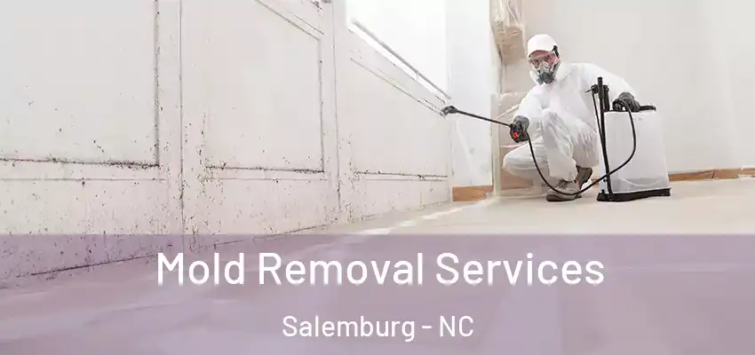  Mold Removal Services Salemburg - NC