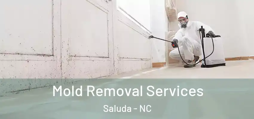  Mold Removal Services Saluda - NC