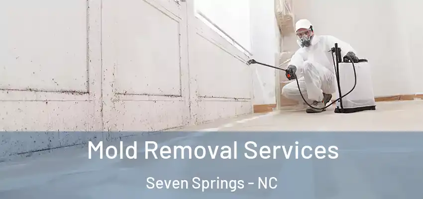  Mold Removal Services Seven Springs - NC