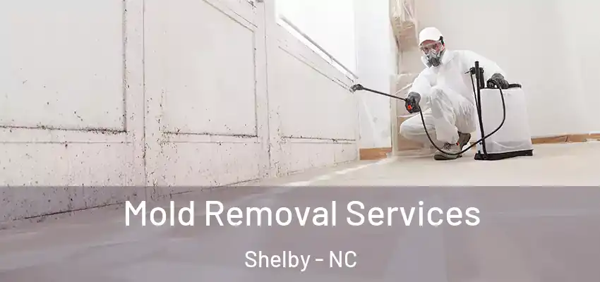  Mold Removal Services Shelby - NC