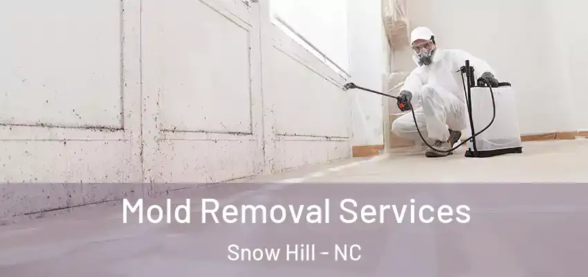 Mold Removal Services Snow Hill - NC