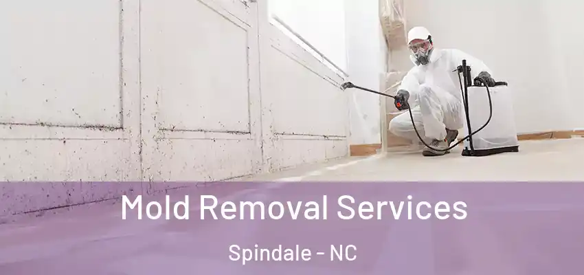 Mold Removal Services Spindale - NC