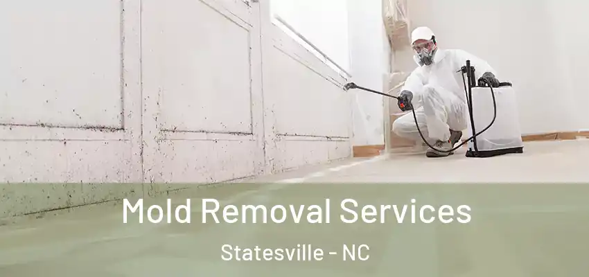 Mold Removal Services Statesville - NC