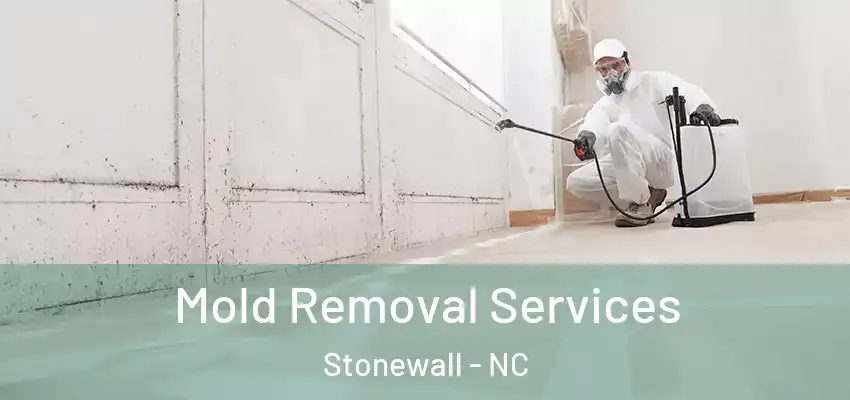 Mold Removal Services Stonewall - NC