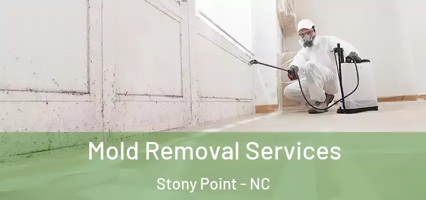  Mold Removal Services Stony Point - NC