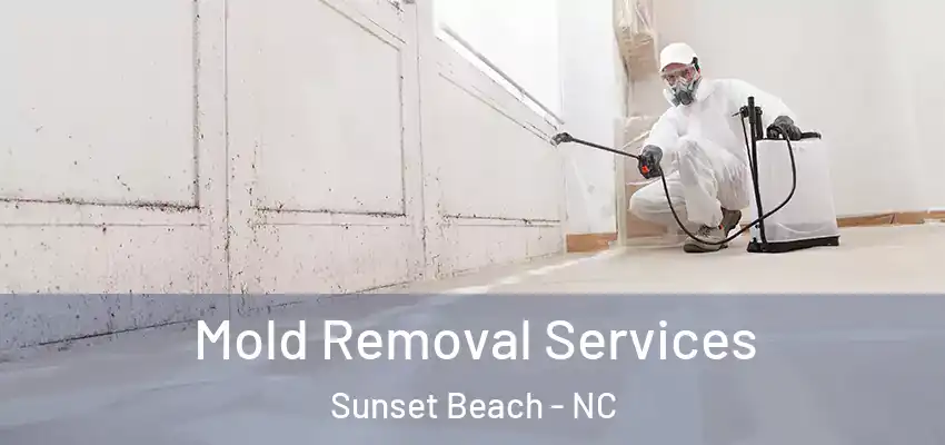 Mold Removal Services Sunset Beach - NC