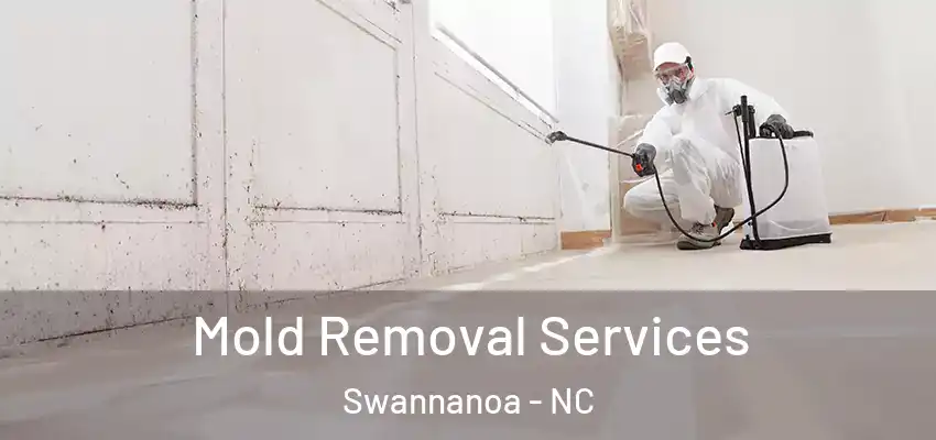  Mold Removal Services Swannanoa - NC