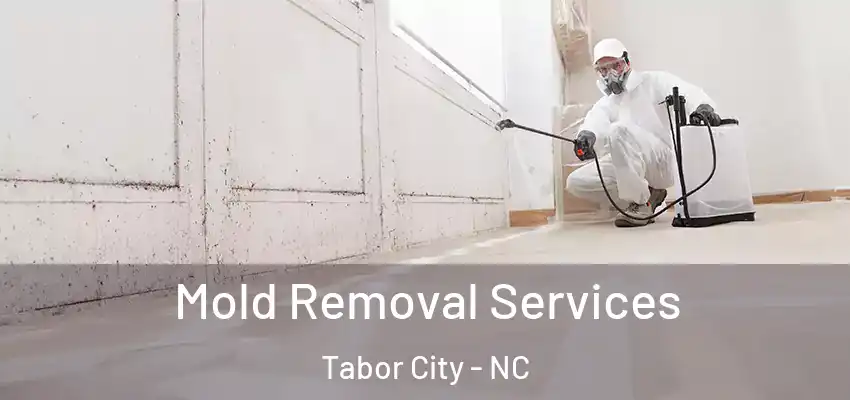 Mold Removal Services Tabor City - NC