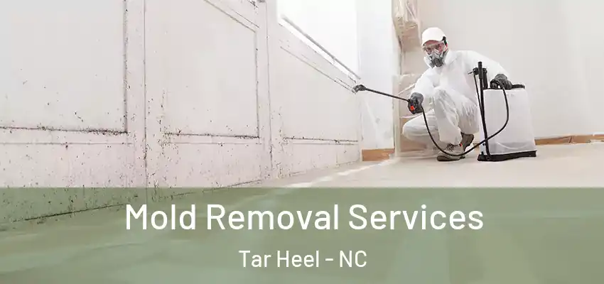  Mold Removal Services Tar Heel - NC