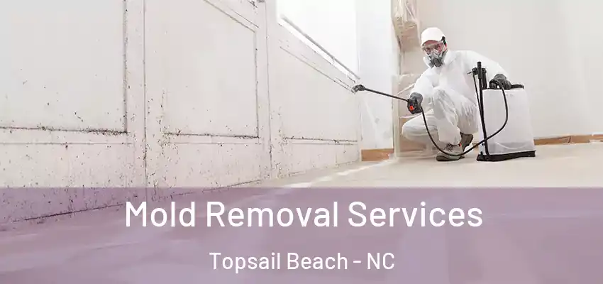  Mold Removal Services Topsail Beach - NC