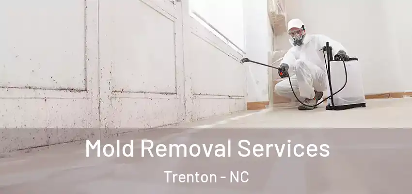  Mold Removal Services Trenton - NC