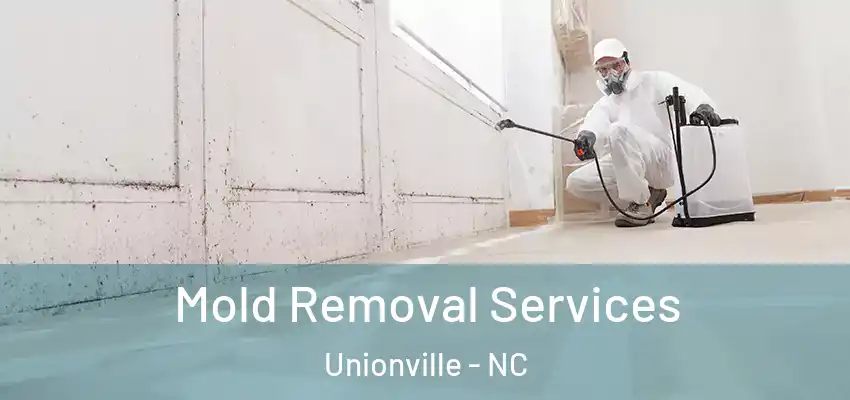 Mold Removal Services Unionville - NC