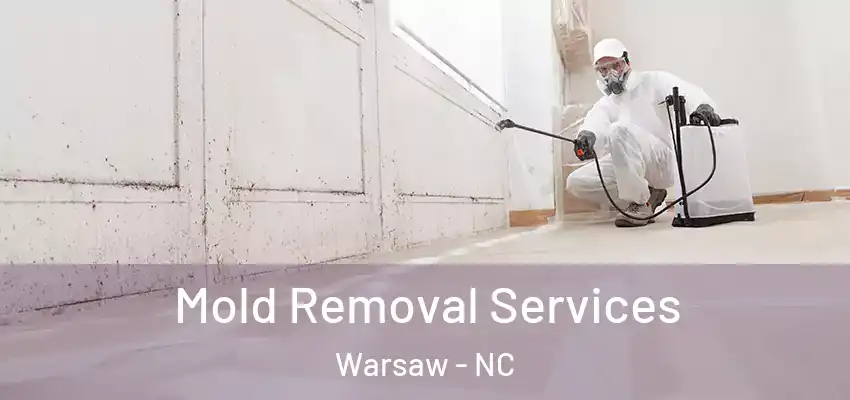 Mold Removal Services Warsaw - NC