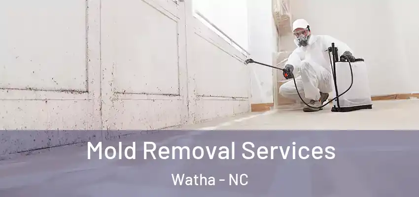 Mold Removal Services Watha - NC