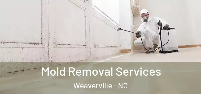  Mold Removal Services Weaverville - NC