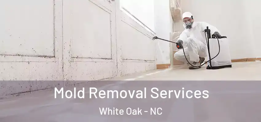Mold Removal Services White Oak - NC