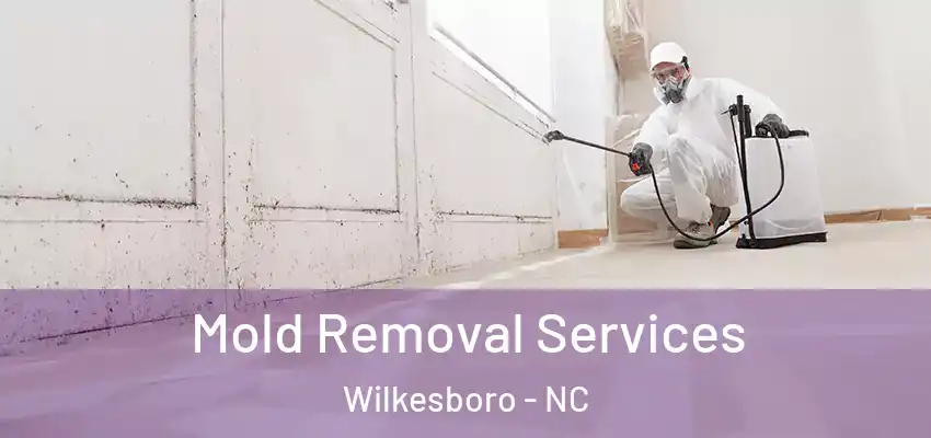  Mold Removal Services Wilkesboro - NC