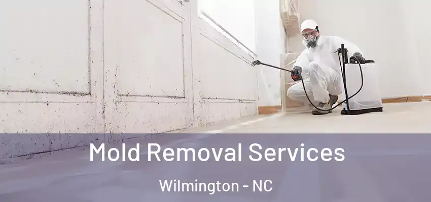  Mold Removal Services Wilmington - NC