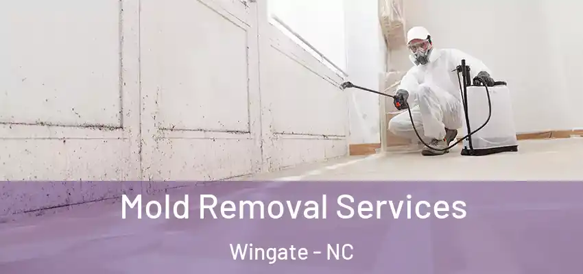 Mold Removal Services Wingate - NC