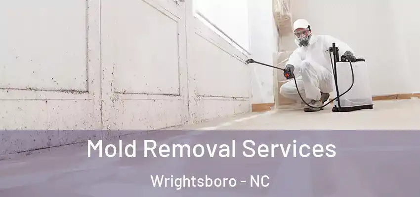  Mold Removal Services Wrightsboro - NC