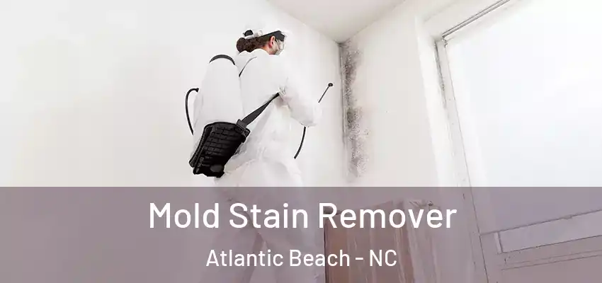  Mold Stain Remover Atlantic Beach - NC