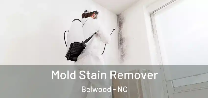 Mold Stain Remover Belwood - NC