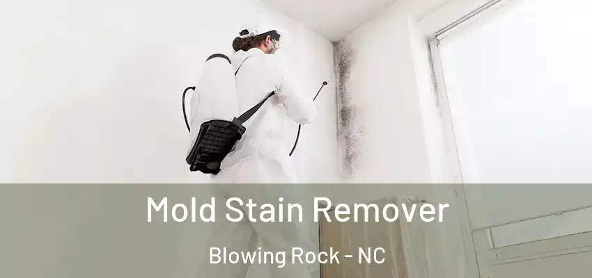 Mold Stain Remover Blowing Rock - NC