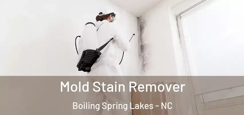 Mold Stain Remover Boiling Spring Lakes - NC