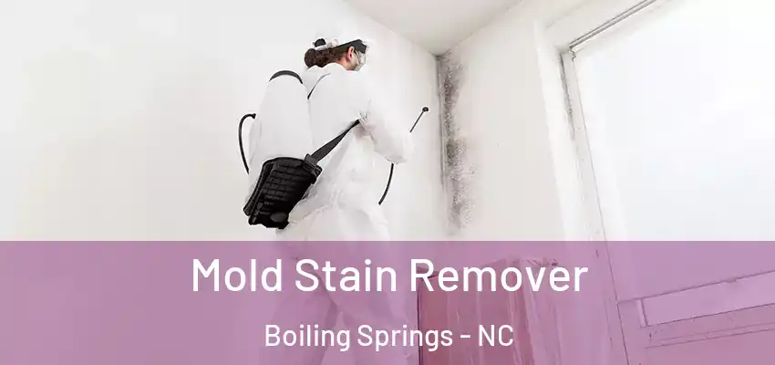  Mold Stain Remover Boiling Springs - NC