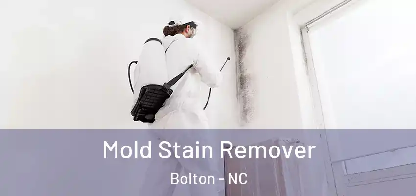  Mold Stain Remover Bolton - NC