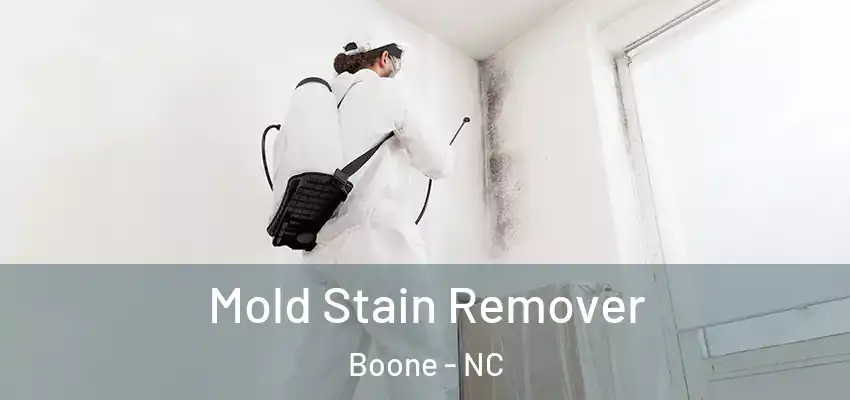  Mold Stain Remover Boone - NC