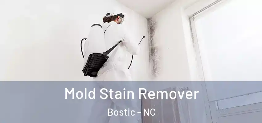 Mold Stain Remover Bostic - NC