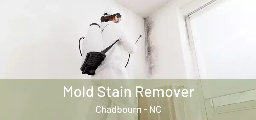  Mold Stain Remover Chadbourn - NC