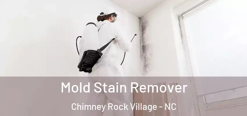  Mold Stain Remover Chimney Rock Village - NC