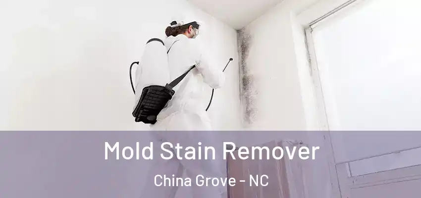  Mold Stain Remover China Grove - NC