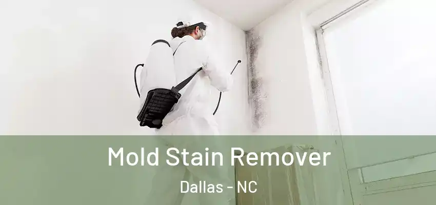 Mold Stain Remover Dallas - NC