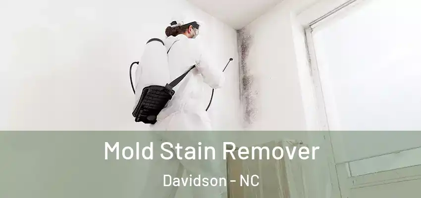 Mold Stain Remover Davidson - NC