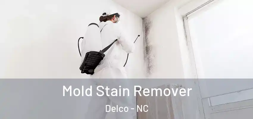  Mold Stain Remover Delco - NC